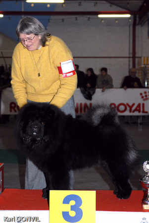 gal/Expo janvier 2007/KD1_0259.jpg